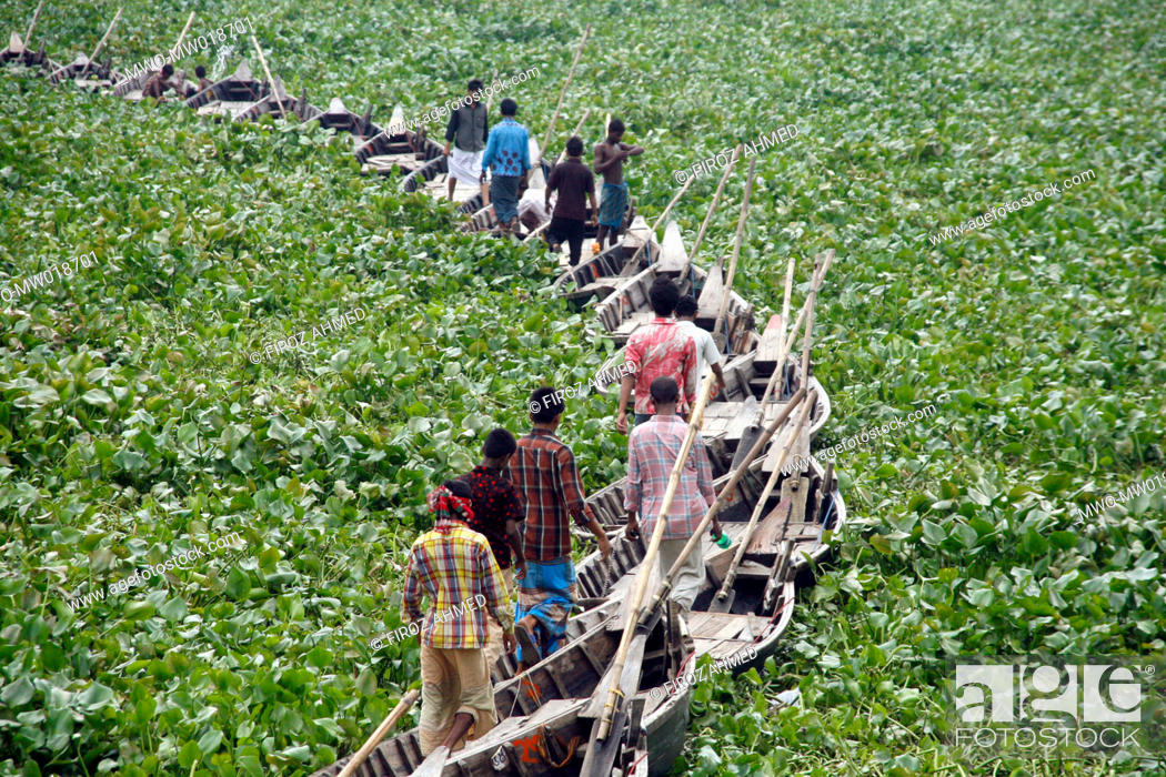 Stock Photo: People are crossing Buriganga river by a makeshift bridge made of boats in Kamrangir Char, in Lalbagh area of Old Dhaka Usually boats are used to ferry people.