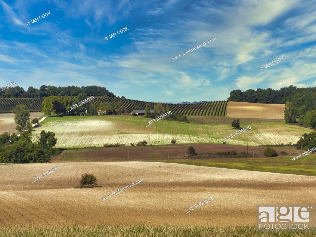Stock Photo: farm land after the harvest, and vineyards near Sadillac, Dordogne Department, Nouvelle Aquitaine, France.