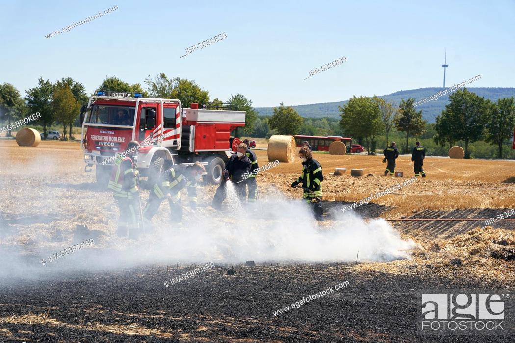 Photo de stock: Firefighters fight field fires caused by drought, Koblenz, Rhineland-Palatinate, Germany, Europe.