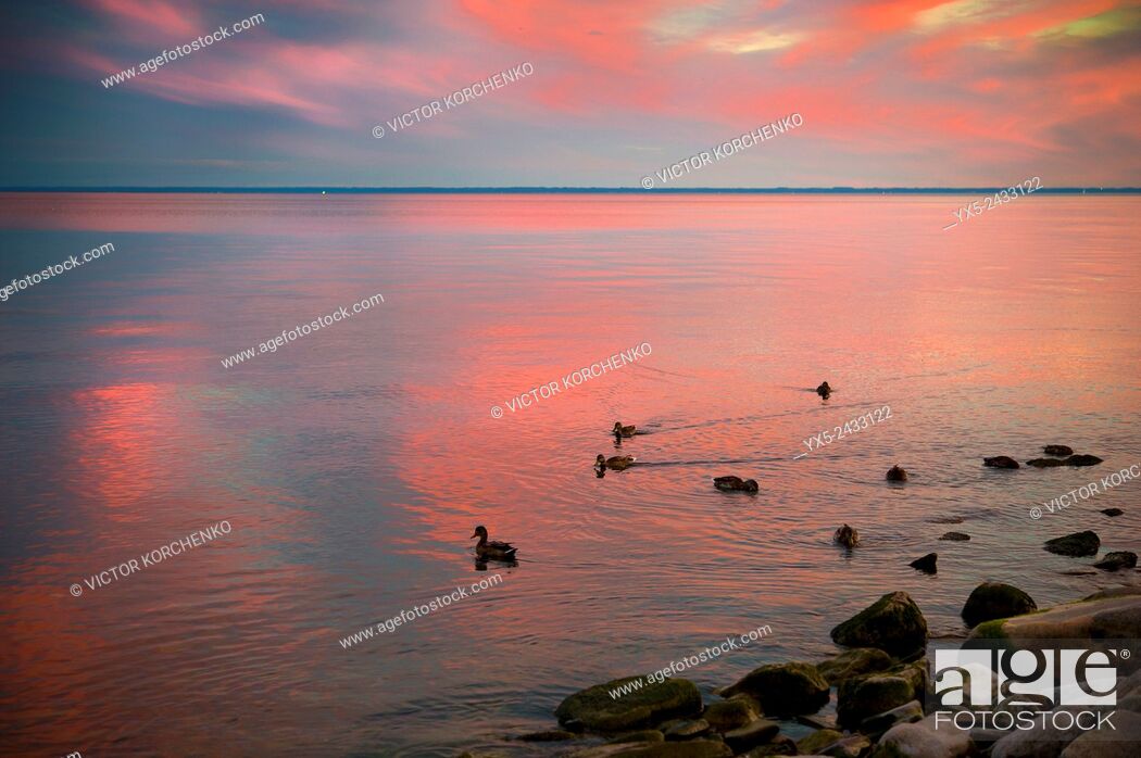 Photo de stock: sunset on lake Ontario.