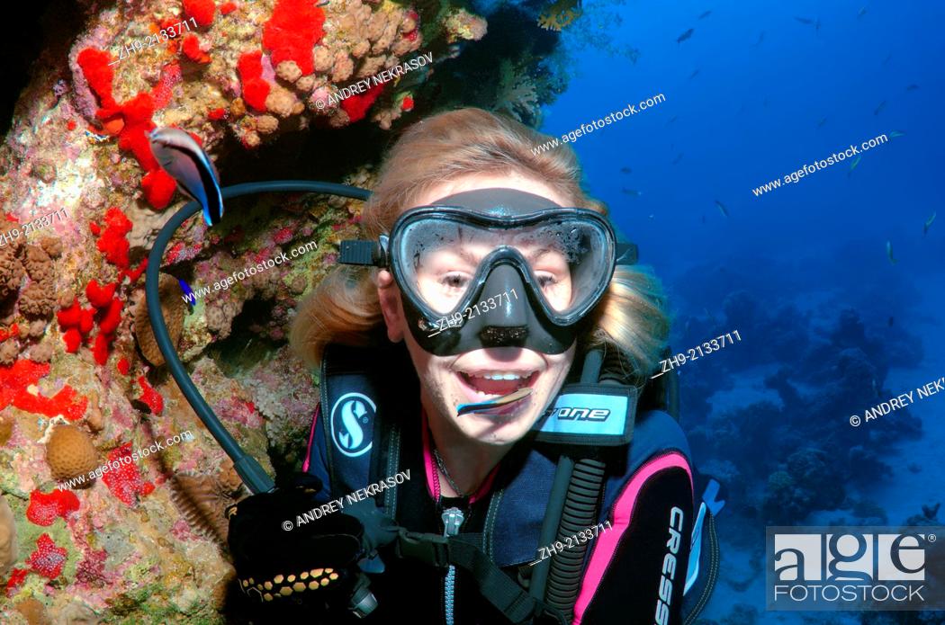 Stock Photo: diver and cleanerfish, Sabre-toothed blenny (Aspidontus taeniatus), Red Sea, Egypt, Africa.