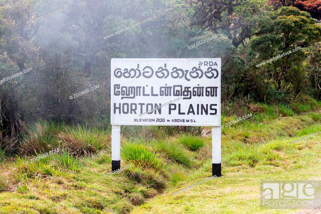 Stock Photo: The Horton Plains National Park. This plateau at an altitude of 2, 100?2, 300 metres is rich in biodiversity and many species found here are endemic to the.