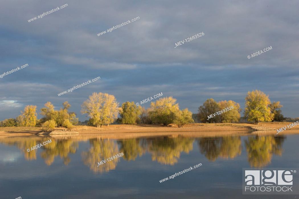 Stock Photo: Morning at river Elbe at Lower Saxonian Elbe Valley, biosphere reserve - Germany.