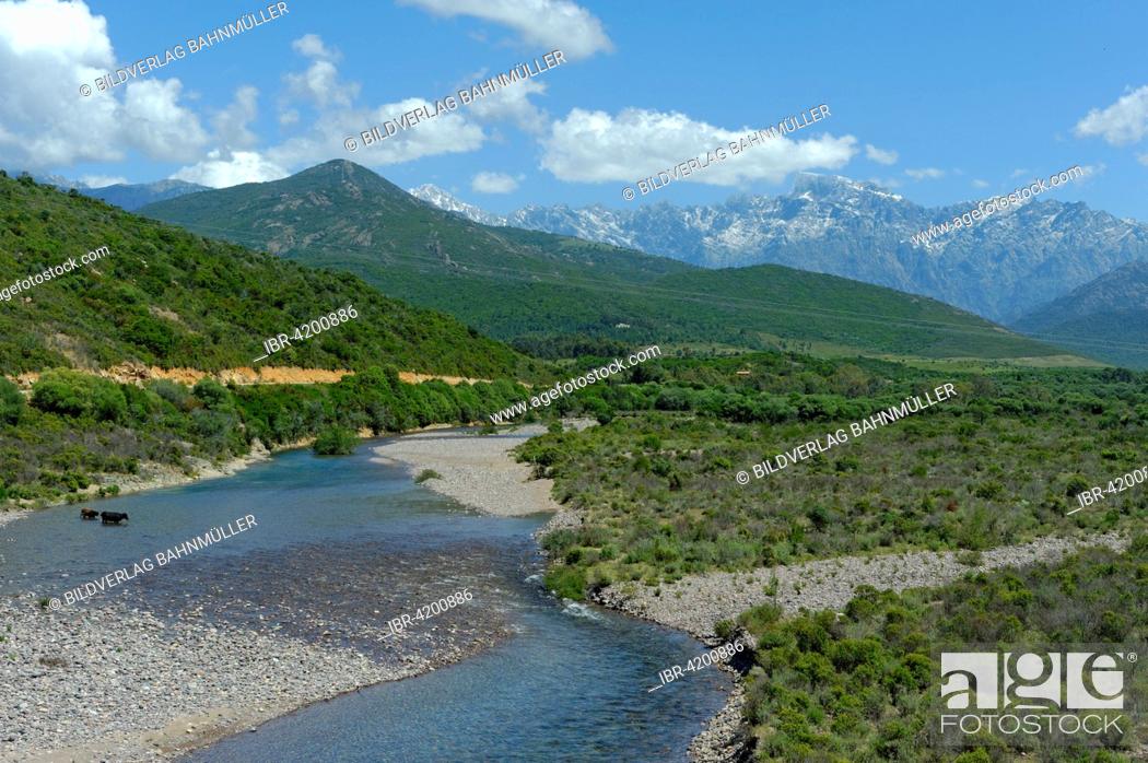 Stock Photo: From the Pont de Cinq Arcades to the riverbed of the Fangu or Fango, near Galeria, with the Monte Cinto, Haute-Corse, Corsica, France.