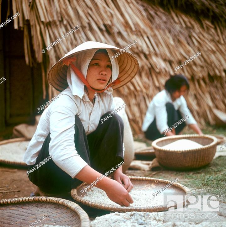 vietnamese girl