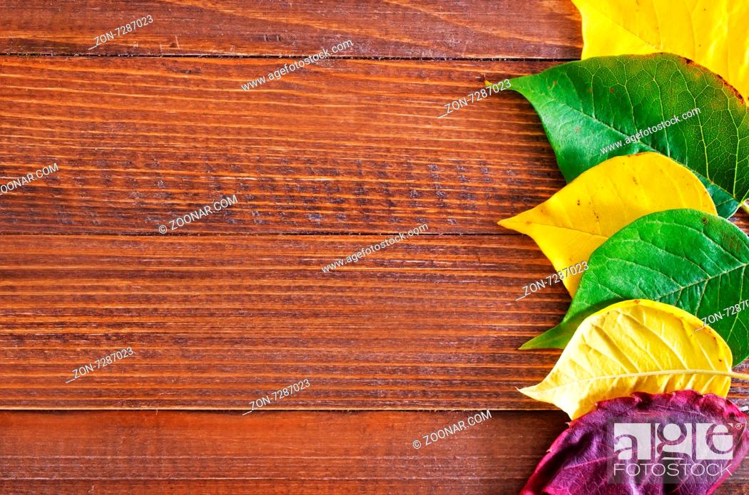 Stock Photo: autumn leaves on the wooden background, yellow leaves and wooden boards.