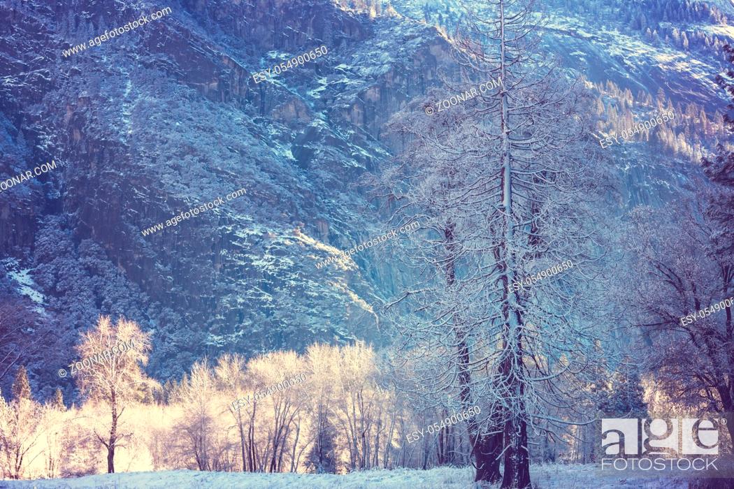 Stock Photo: Winter season in Yosemite National Park, California, USA.