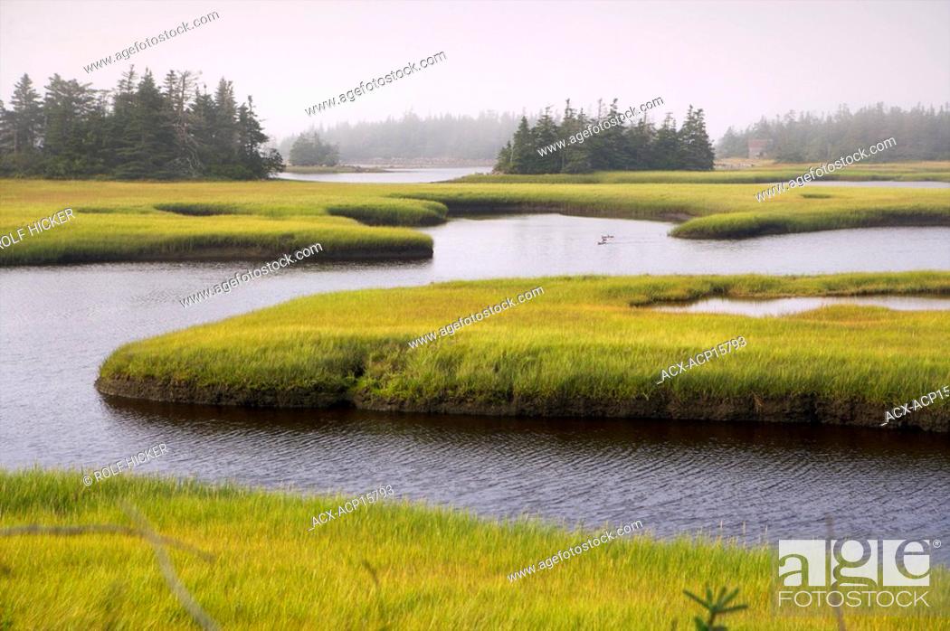 Stock Photo: Scenic water channels along a river in Clark's Harbour, Cape Sable Island, Lighthouse Route, Highway 330, Nova Scotia, Canada.