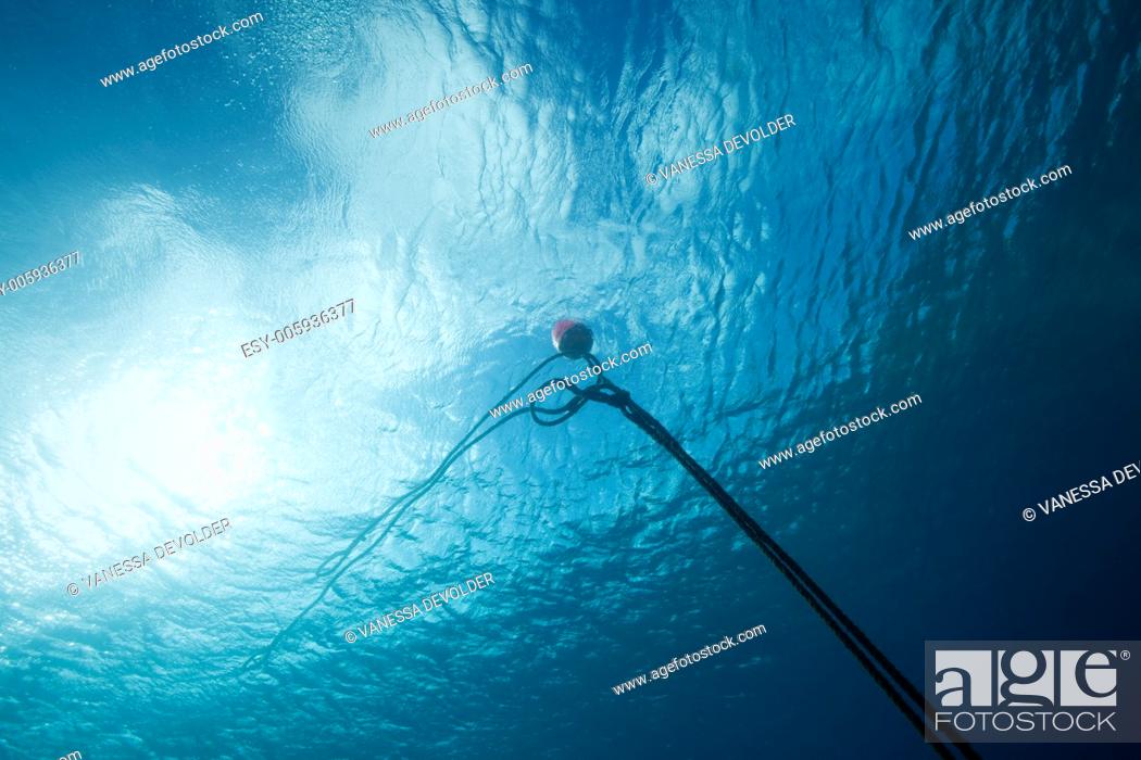 Stock Photo: Underwater scene with buoy on surface.