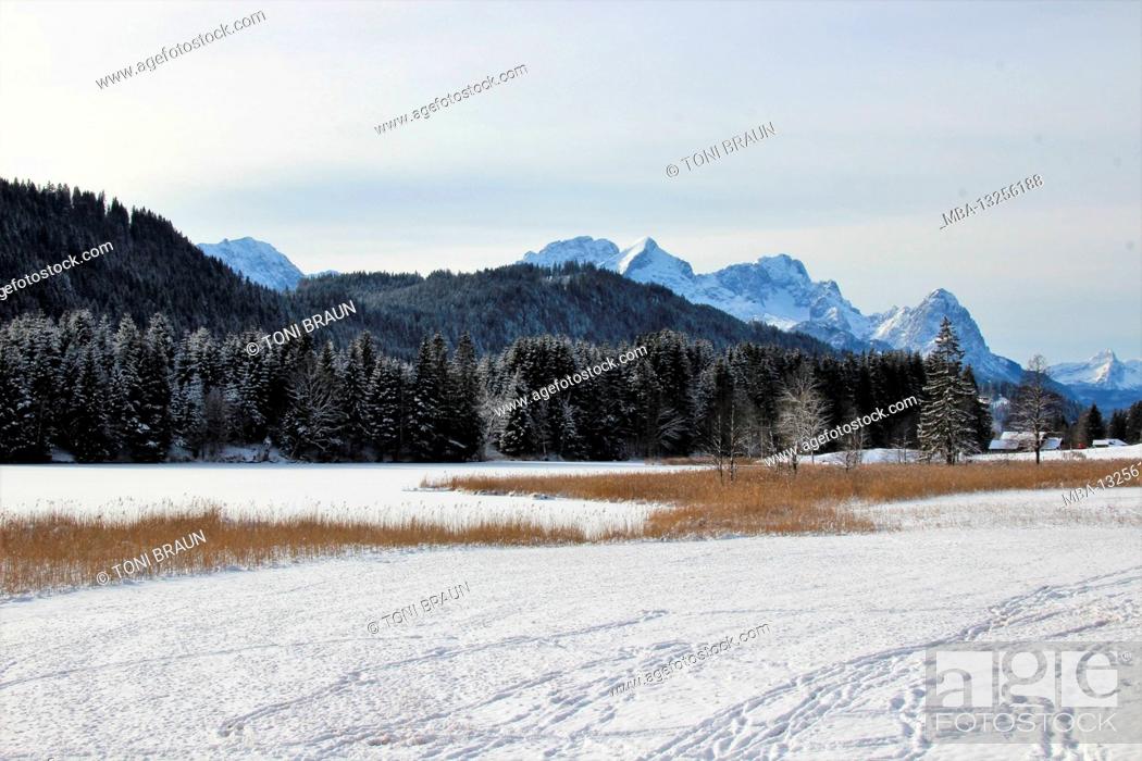 Stock Photo: Winter hike near Gerold, near Klais, Europe, Germany, Bavaria, Upper Bavaria, Werdenfels, winter, tracks in the snow, Geroldsee in the background the Zugspitze.