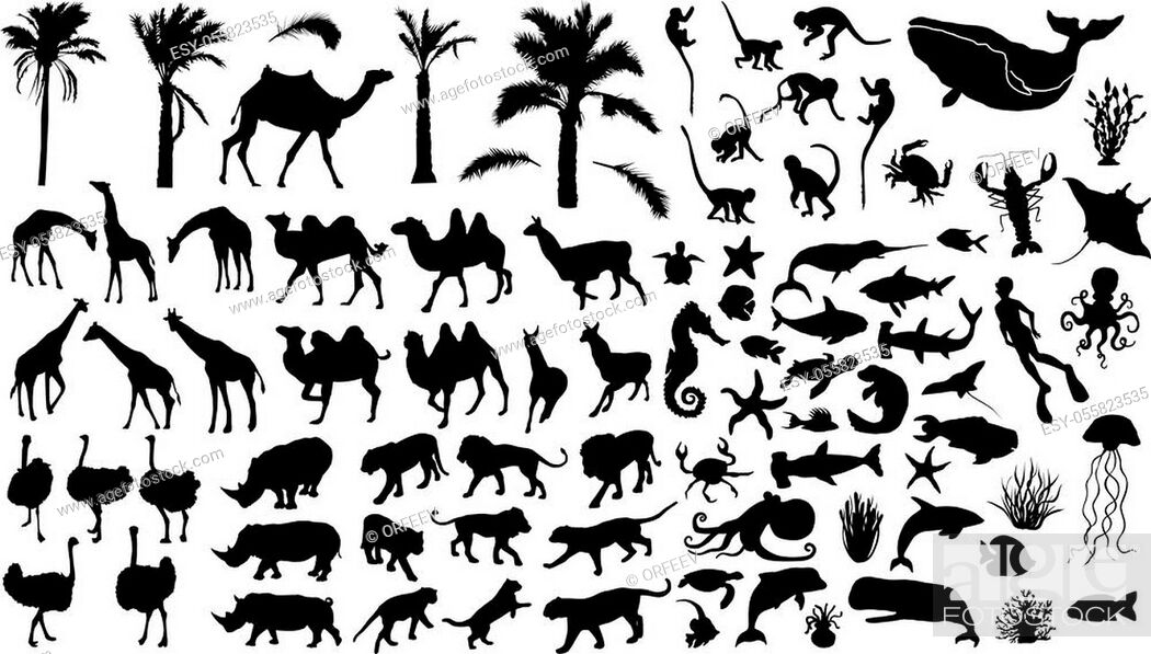 Stock Vector: Big animals silhouettes set. Exotic animals set.