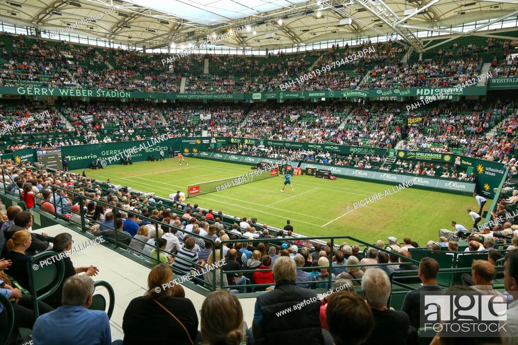 St In het algemeen Huichelaar 19 June 2018, Halle, Germany: Tennis, ATP-Tour: Singles, Men, First Round,  Stock Photo, Picture And Rights Managed Image. Pic.  PAH-180619-99-794432-DPAI | agefotostock