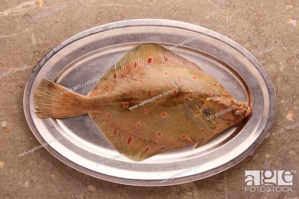 Imagen: fresh fish seafood.
