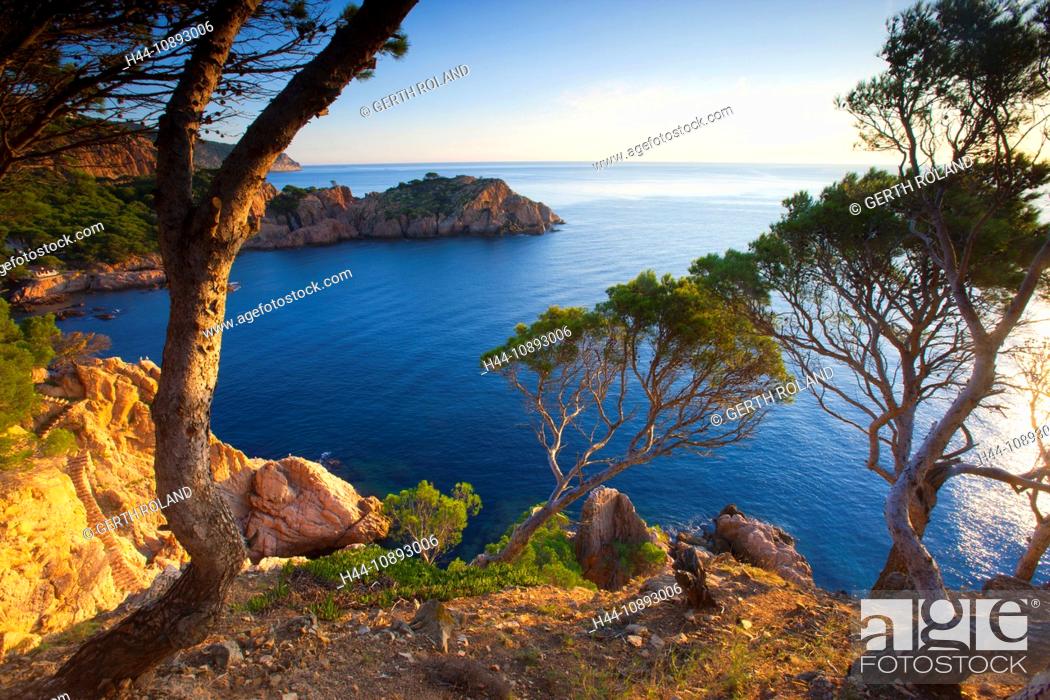Stock Photo: Aigua-xellida, Spain, Europe, Catalonia, Costa Brava, sea, Mediterranean Sea, coast, rock coast, morning light, trees, pines.