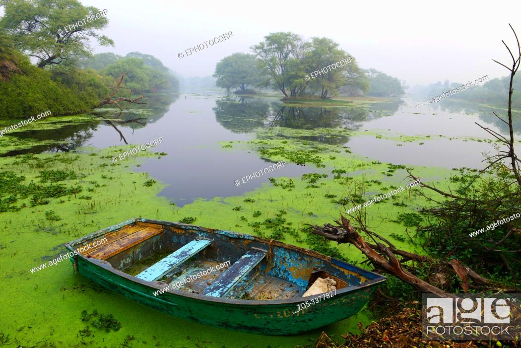 Stock Photo: Canoe in lake with moss, Bharatpur, Rajasthan, India.