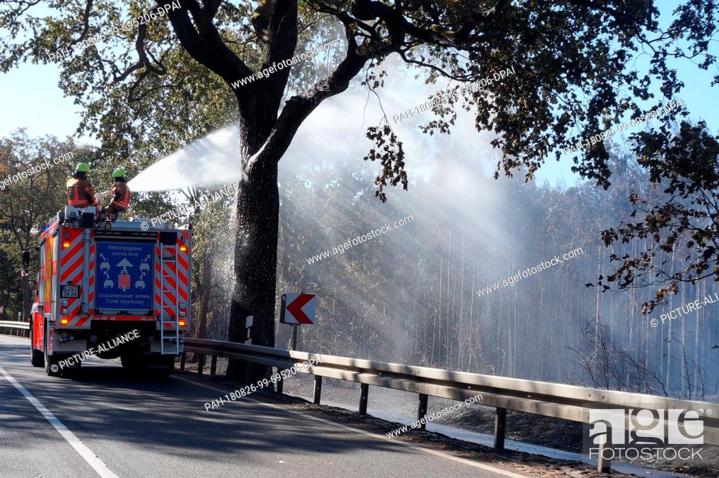 Stock Photo: 26 August 2018, Germany, Treuenbrietzen: The fire brigade direcst a jet of water into the forest. Three days after the outbreak of the forest fire at the gates.