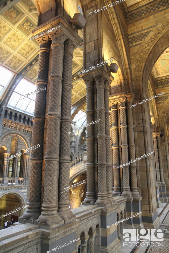 Imagen: Interior of the Natural history museum in London.