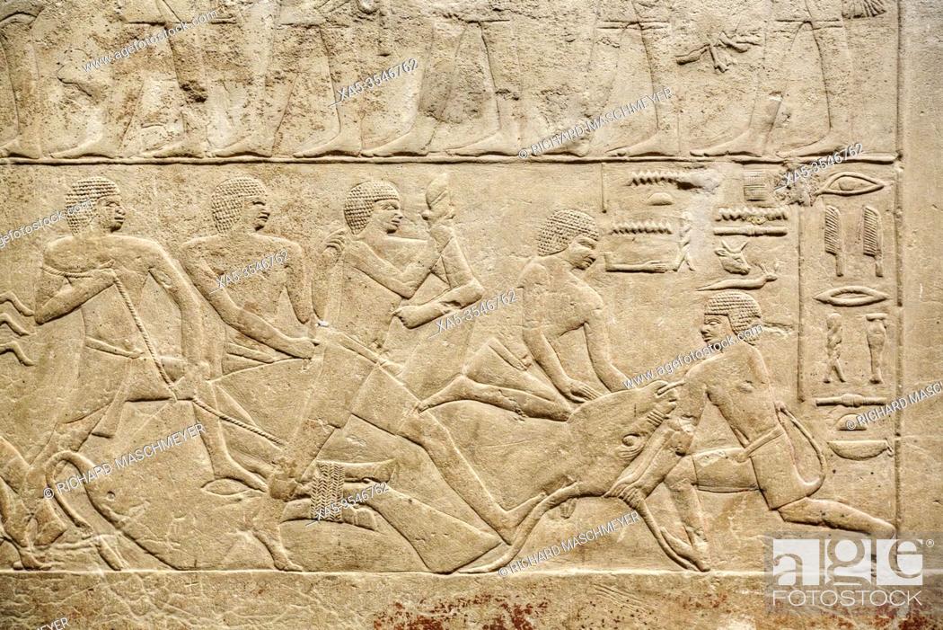 Stock Photo: Reliefs, Mastaba of Mereruka, Necropolis of Saqqara, UNESCO World Heritage Site, Saqqara, Egypt.