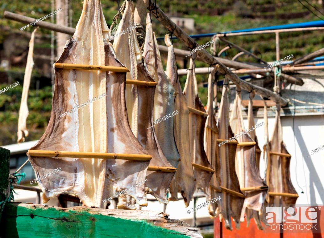 Imagen: Cod Fish or Cat Fish drying on boat at Camara de Lobos on island of Madiera.