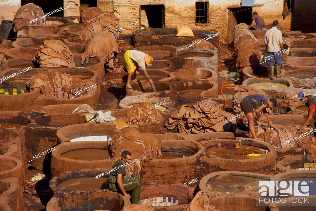 Stock Photo: Fez, Fes, Traditional Tanneries with dying vats, The Chouwara, Chouara, Tannery, Old Town, Medina, UNESCO World Heritage Site, Fez el Bali, Morocco, Maghreb.