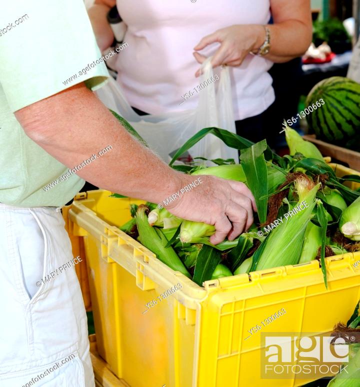 Photo de stock: Buying Corn n the Cob at Farmers Market, Burlington, Vermont, USA.