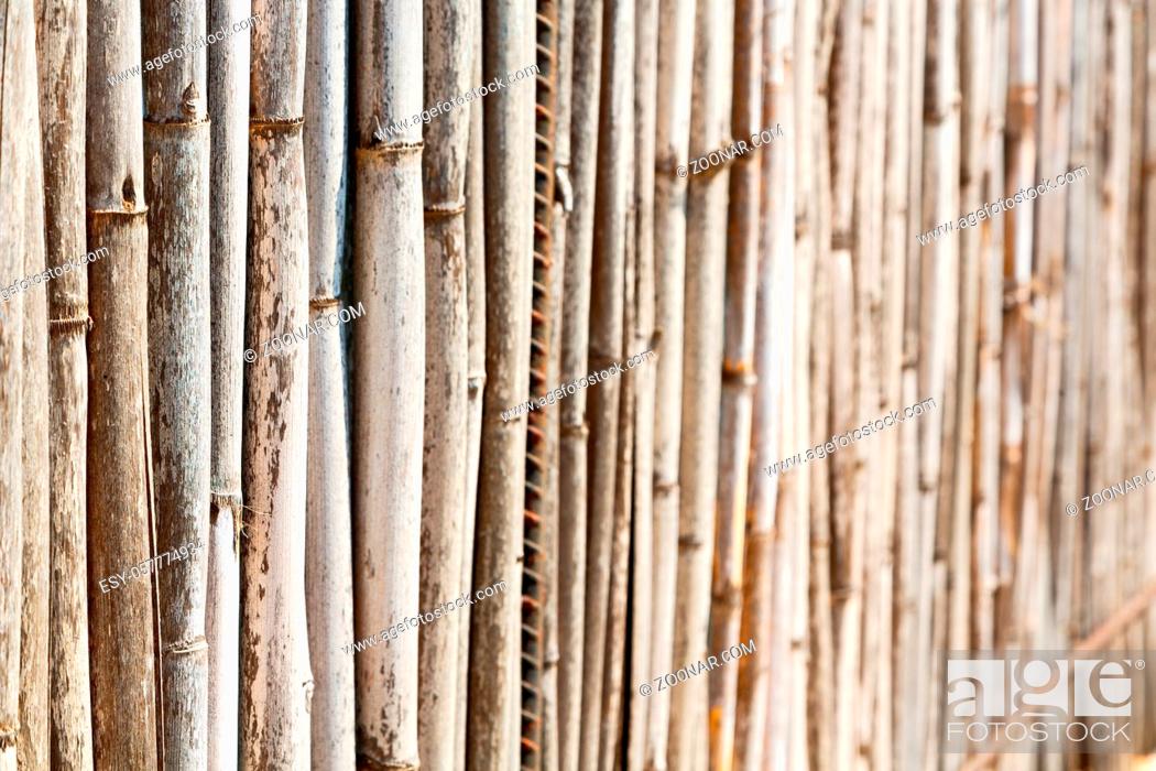 Stock Photo: background   texture bamboo wood and plant in the abstract.