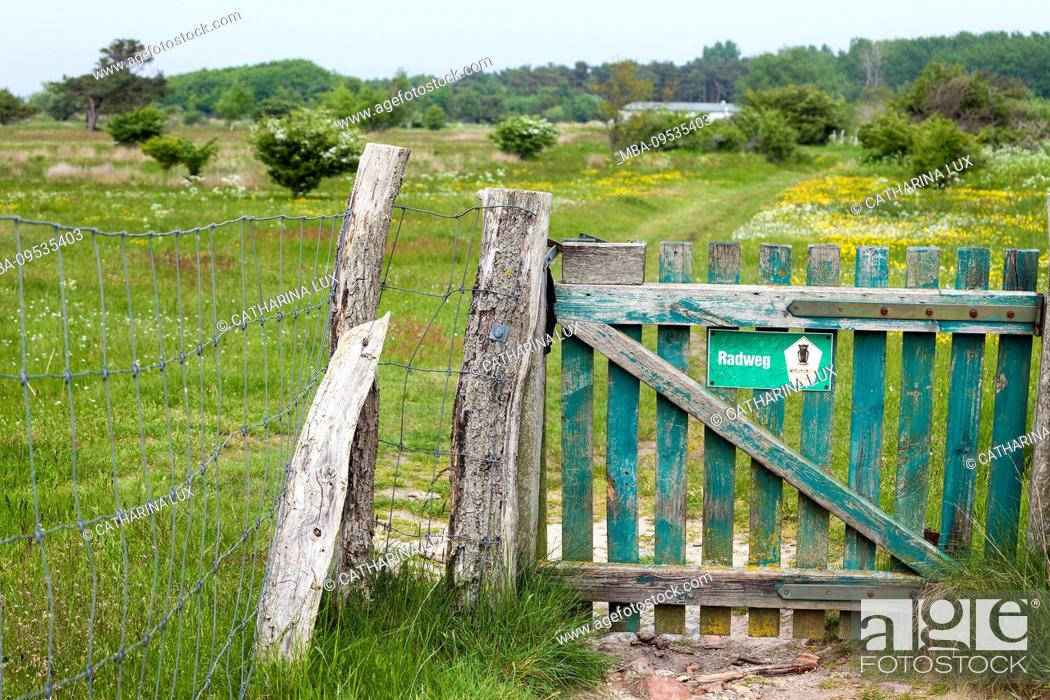 Stock Photo: Baltic Sea, Rügen, Wittow peninsula, coastal path, pasture, gate, bike path, nature reserve.