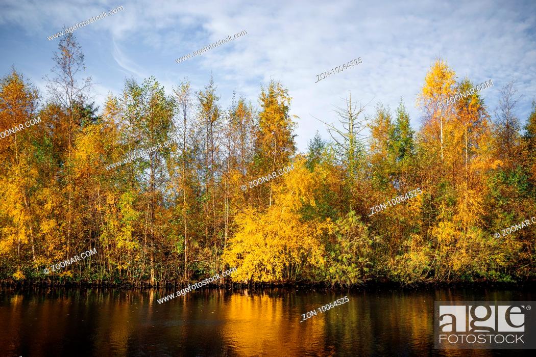 Stock Photo: Autumn trees in yellow colors in the fall by a riverside in autumn with tree reflections in the water in an autumn landscape.