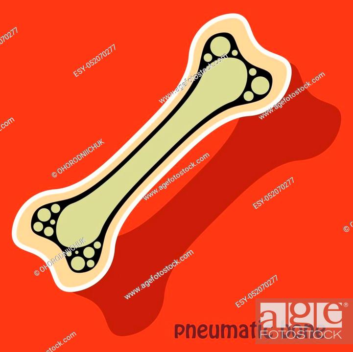 Sticker anatomy of the Long Bone. Periosteum, endosteum, bone marrow and  trabeculae, Stock Vector, Vector And Low Budget Royalty Free Image. Pic.  ESY-052070277 | agefotostock
