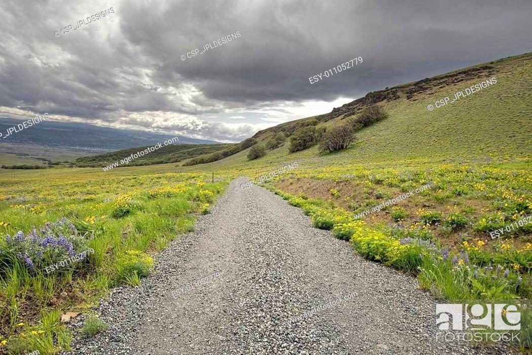 Stock Photo: Hiking Trail on Columbia Hills State Park.
