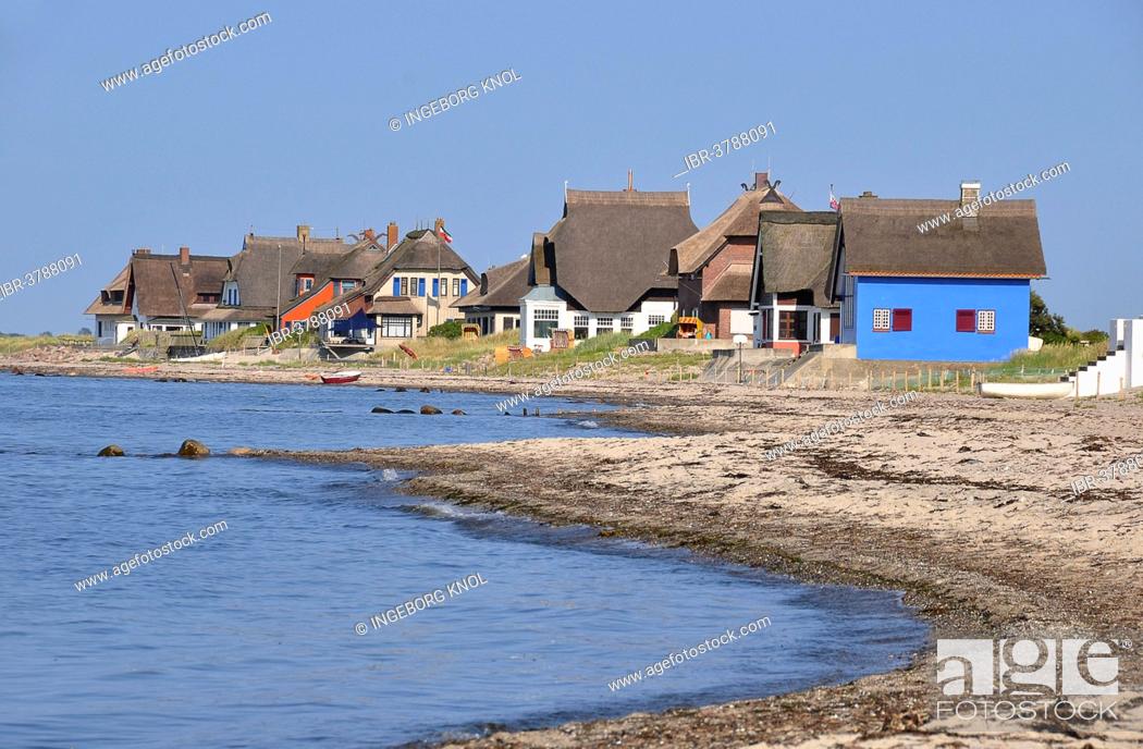 Stock Photo: Holiday homes, Graswarder Peninsula, Heiligenhafen, Baltic Sea, Schleswig-Holstein, Germany.