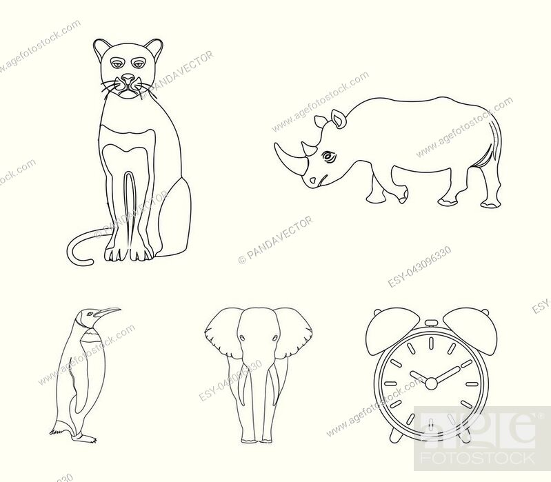 Black rhinoceros, panther wild cat, African animal elephant, imperial  penguin, Stock Vector, Vector And Low Budget Royalty Free Image. Pic.  ESY-043096330 | agefotostock