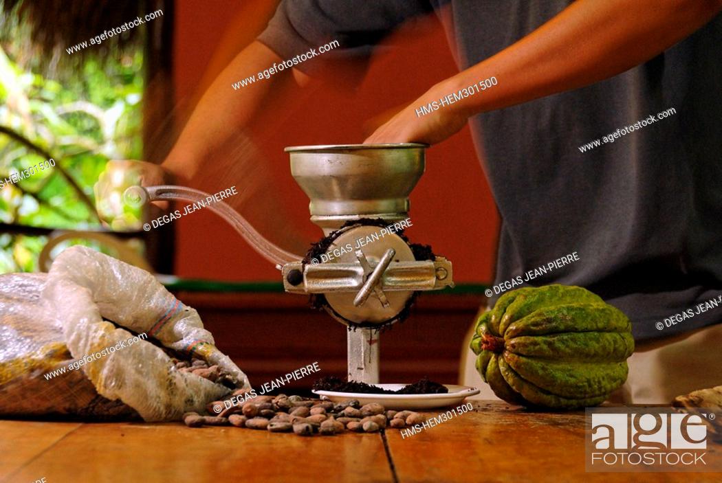 Stock Photo: Ecuador, Pichincha Province, Pedro Vicente Maldonado, Arasha Resort Lodge, local making of chocolate with locally produced cacao.