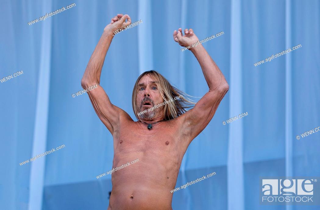 Sæbe justering Soldat Iggy Pop performs live on stage at Finsbury Park in London, Stock Photo,  Picture And Rights Managed Image. Pic. WEN-34838894 | agefotostock