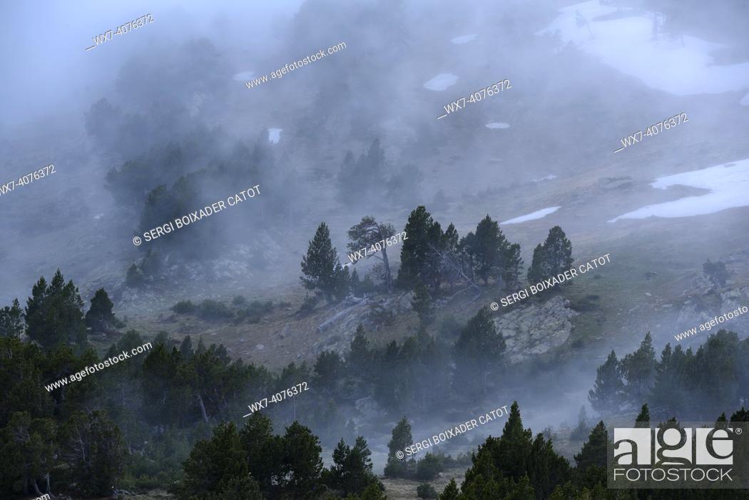 Stock Photo: Camporrells hut and lakes at twilight, with mist in front of the Pic Peric(Pyrenees Orientales, France).