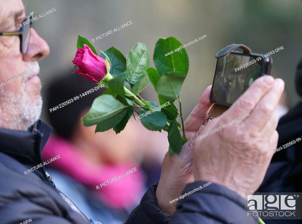 Stock Photo: 03 May 2022, Hamburg: A participant holds a rose in his hand and takes a photo of the wreath-laying ceremony at the memorial after the commemoration of the 77th.