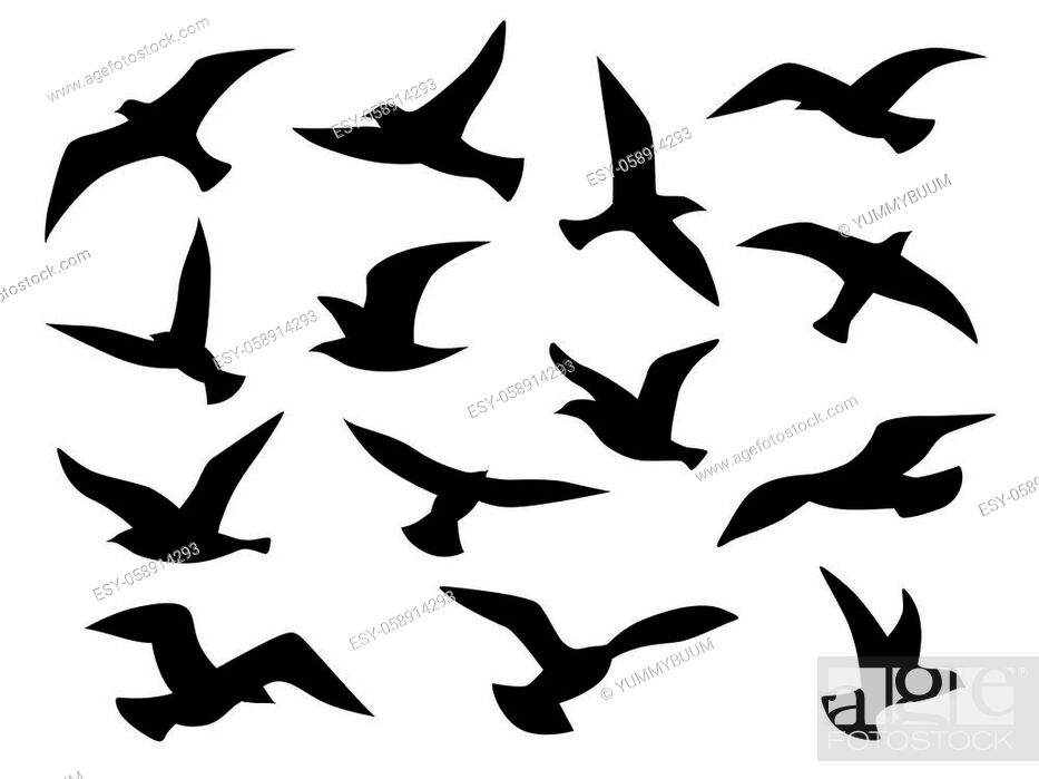 Columbidae, Flying Bird Drawing, black, line Art png | PNGEgg-saigonsouth.com.vn