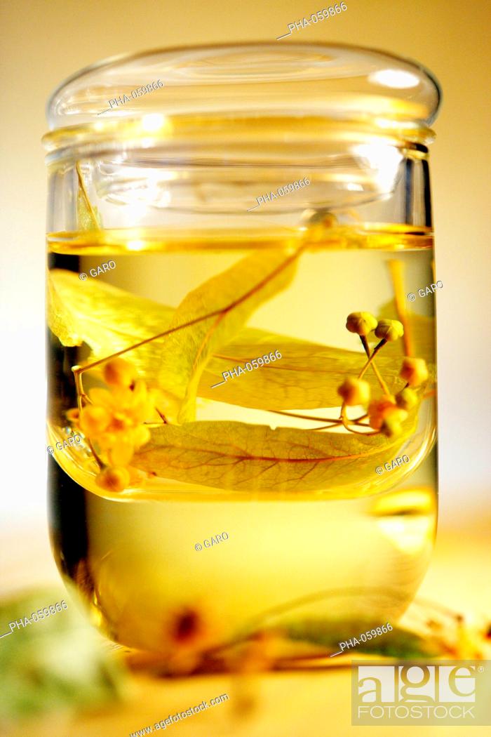 Stock Photo: Linden herbal tea.