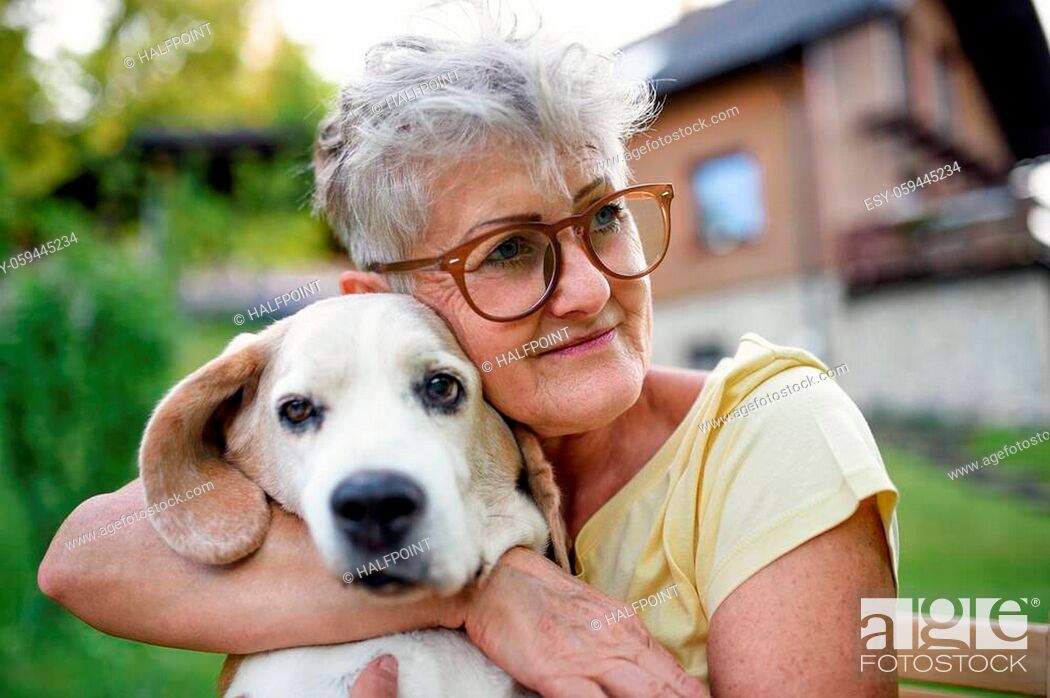 Photo de stock: Portrait of senior woman sitting and resting outdoors in garden, holding pet dog.