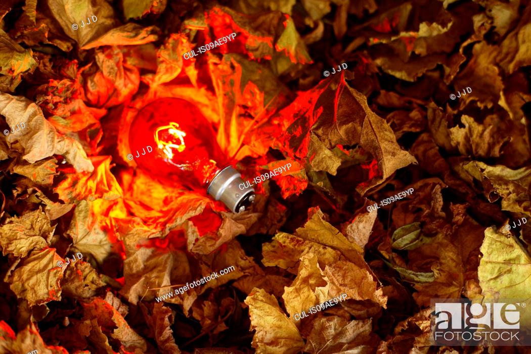 Stock Photo: Still life of red lightbulb on autumn leaves.