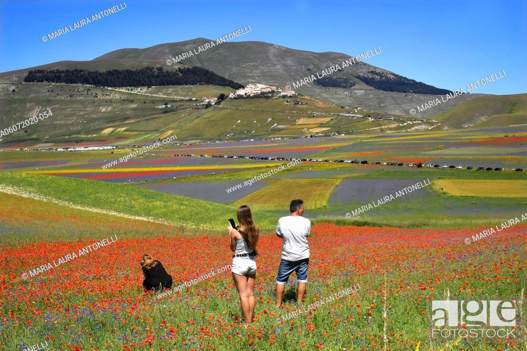 Stock Photo: Tourists photograph the lentils bloom , Castelluccio di Norcia (Perugia) ITALY-07-07-2020.