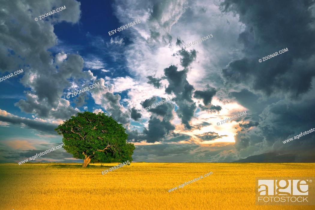Stock Photo: Incredibly Beautiful Nature.Art photography.Fantasy design.Creative Background.Amazing Colorful Landscape.Lonely tree.Relax.