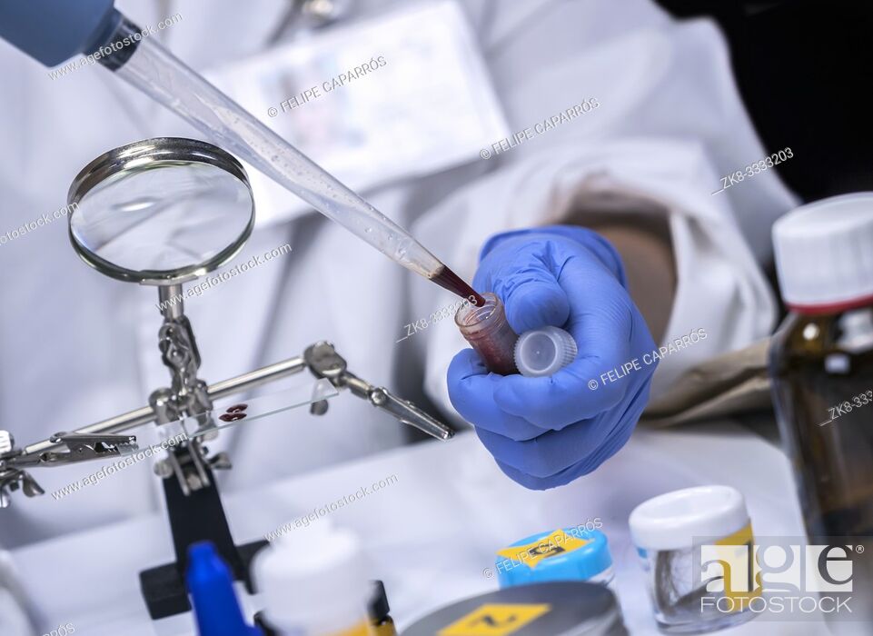 Stock Photo: Scientific police extracts crime scene blood in forensic laboratory to verify DNA, conceptual image.