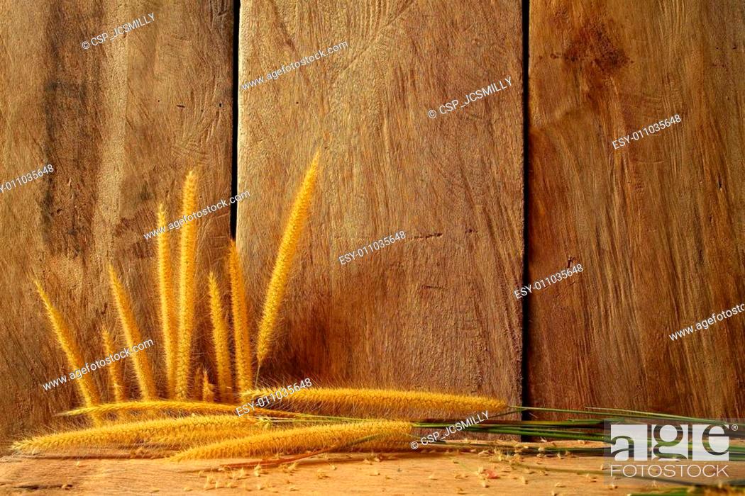 Stock Photo: Still life with foxtail grass on grunge wooden background.