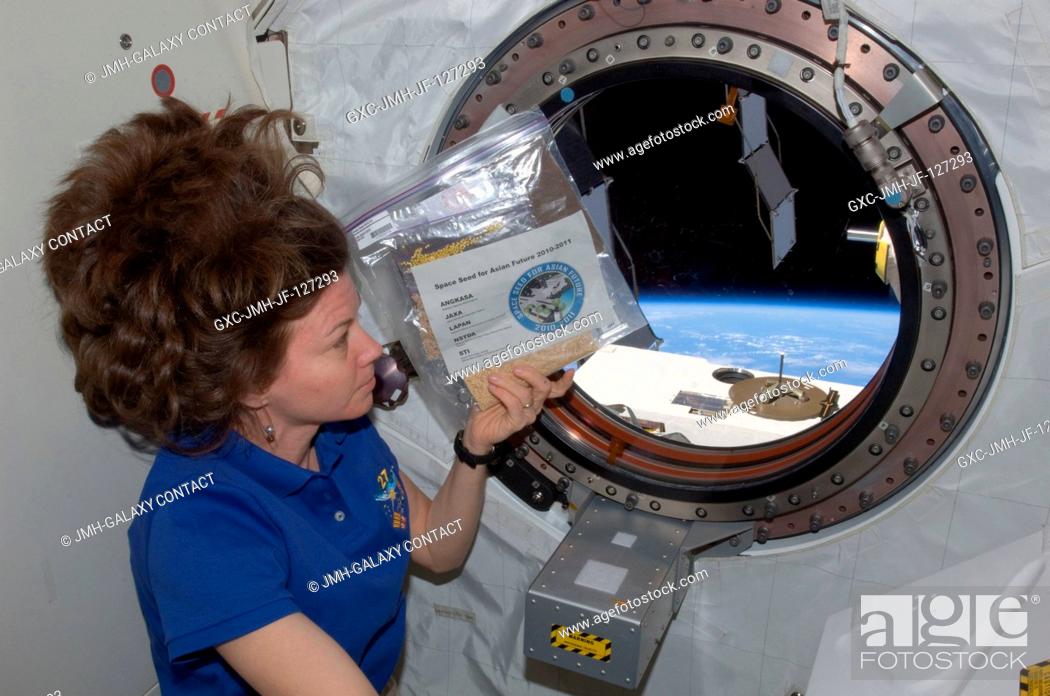 Imagen: NASA astronaut Cady Coleman, Expedition 27 flight engineer, holds a bag of space seeds near a window in the Kibo laboratory of the International Space Station.