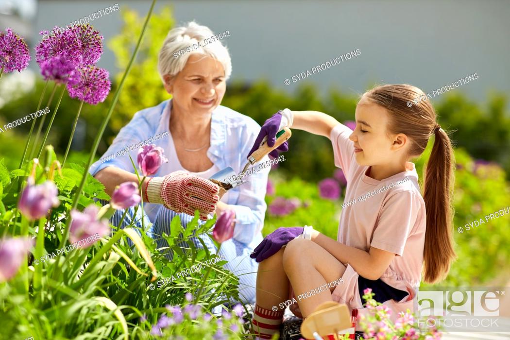 Stock Photo: grandmother and girl planting flowers at garden.
