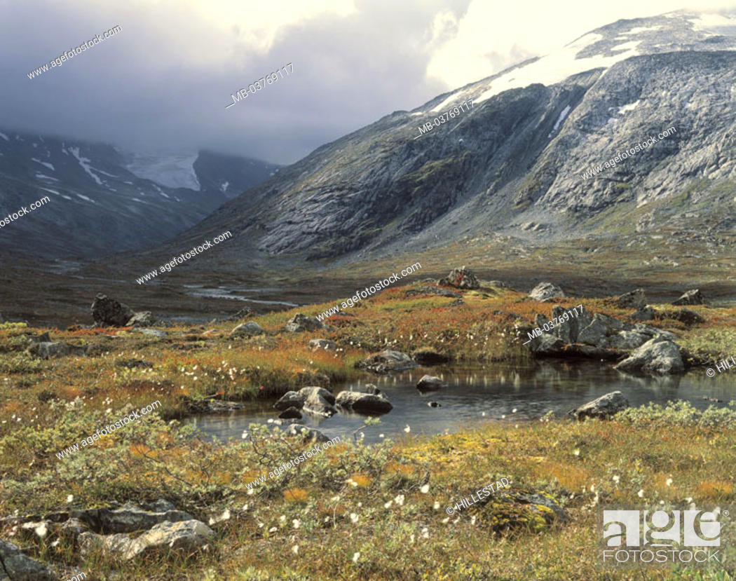 Stock Photo: Norway, Jostedalsbreen glaciers,  Meadow, wool grass, cloud mood  Europe, Scandinavia, Norge, South Norway, Jostedalsbre, glacial landscape, mountains, highland.