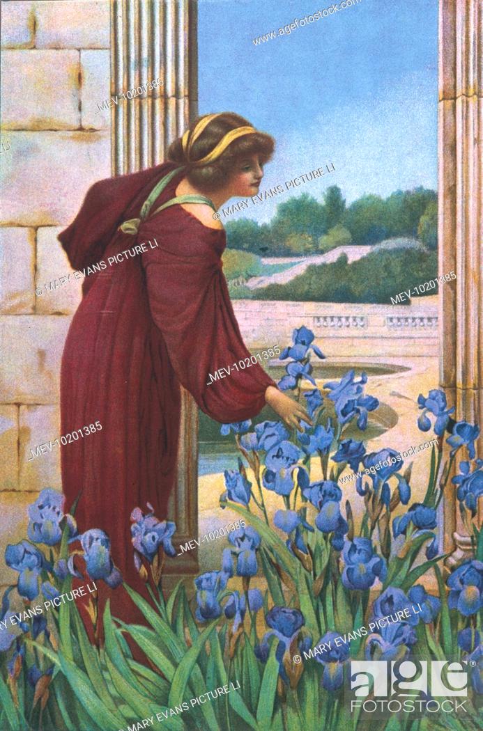A Woman In Aesthetic Dress Picking Iris In A Classical Garden Setting Stock Photo Picture And Rights Managed Image Pic Mev 10201385 Agefotostock