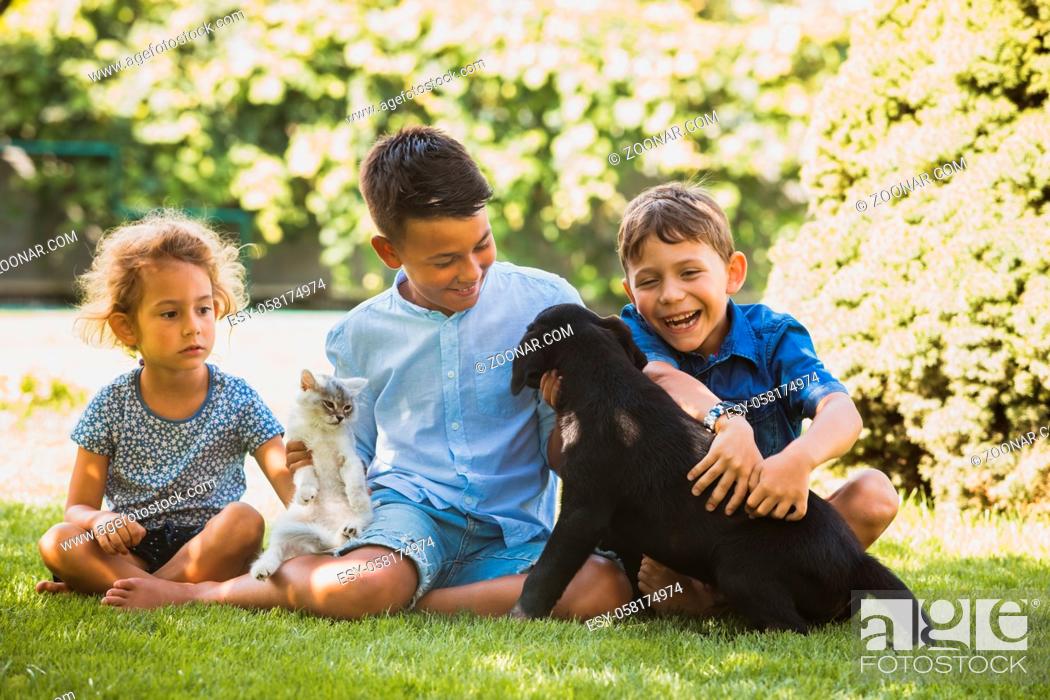 Stock Photo: Two little boys and a girl are playing with a black Labrador and a kitten in the backyard.