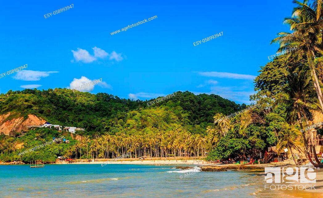 Palms Ipil Beach Palawan Philippines, Tropical Island Landscape Photos